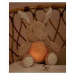 Little Dutch Knuffelkonijn Licht en Geluid