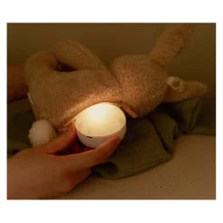 Little Dutch Knuffelkonijn Licht en Geluid