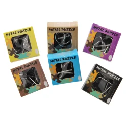 Metalen Mini Breinpuzzel