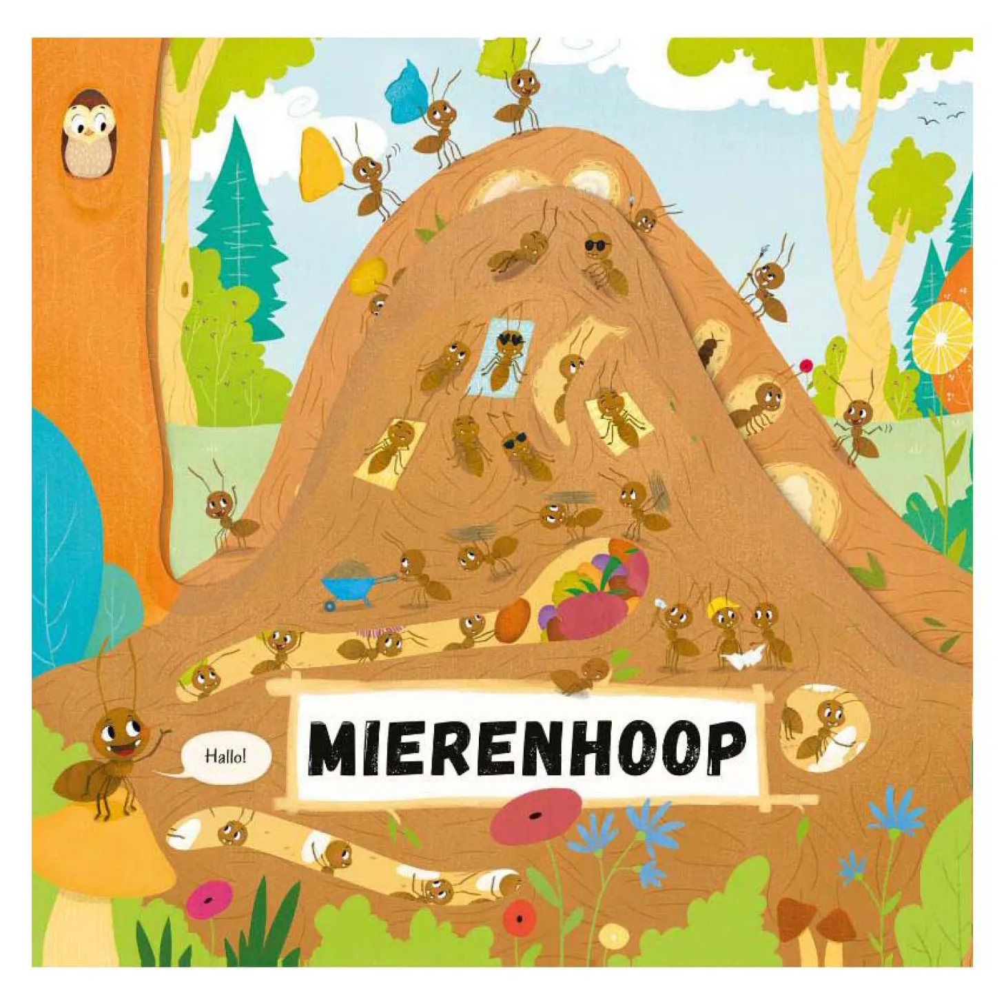 Mierenhoop
