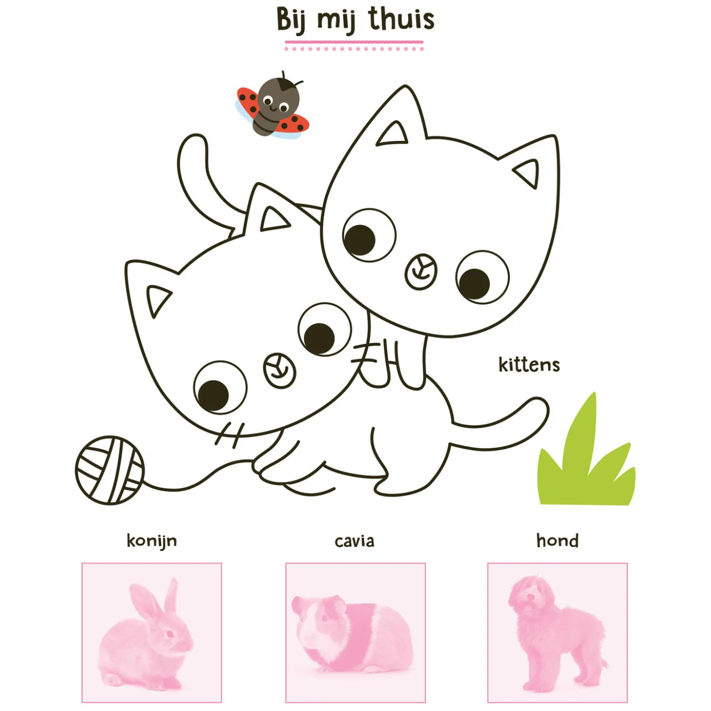 Mijn Dieren Stickerboek