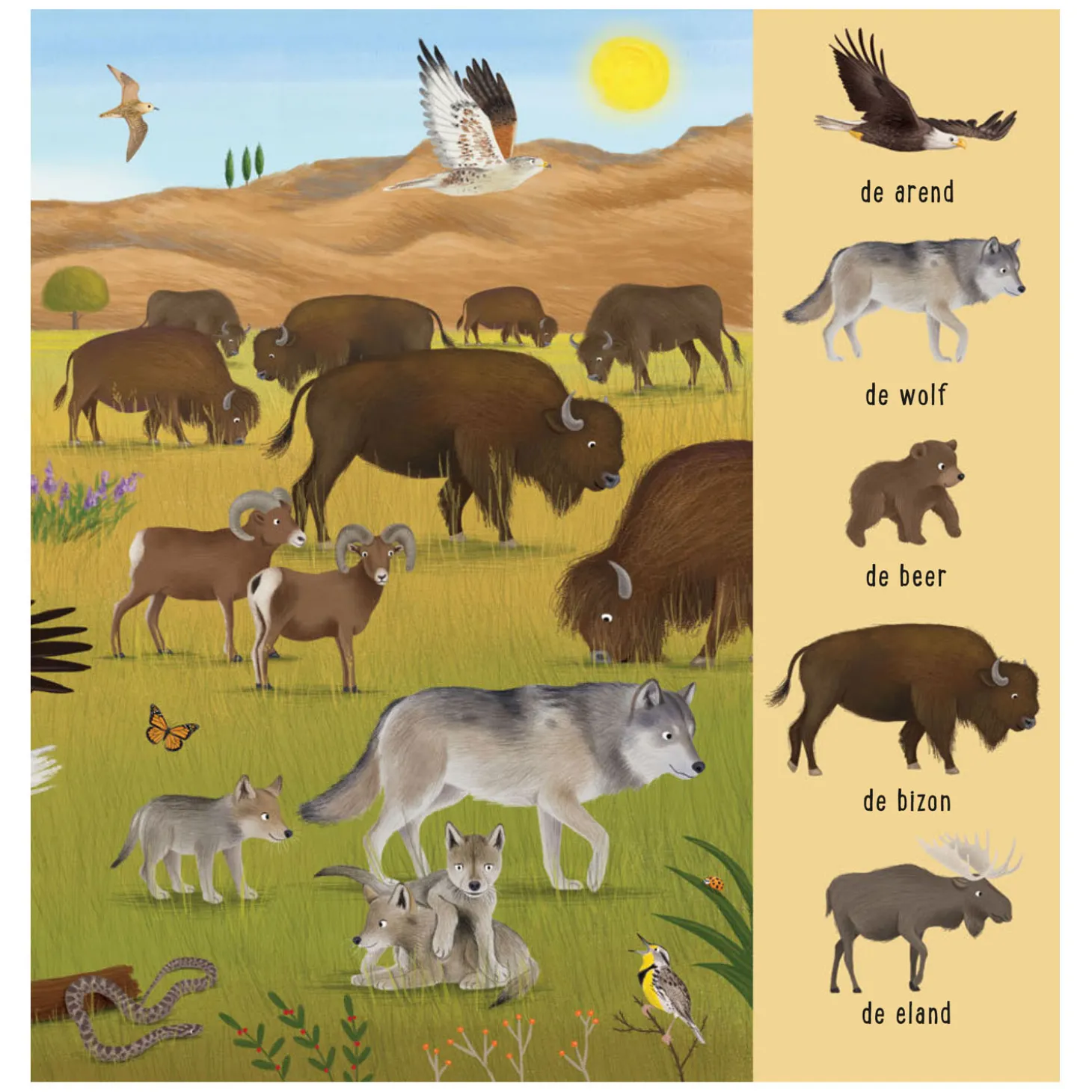 Mijn Eerste Zoekboek - Dieren Uit De Hele Wereld