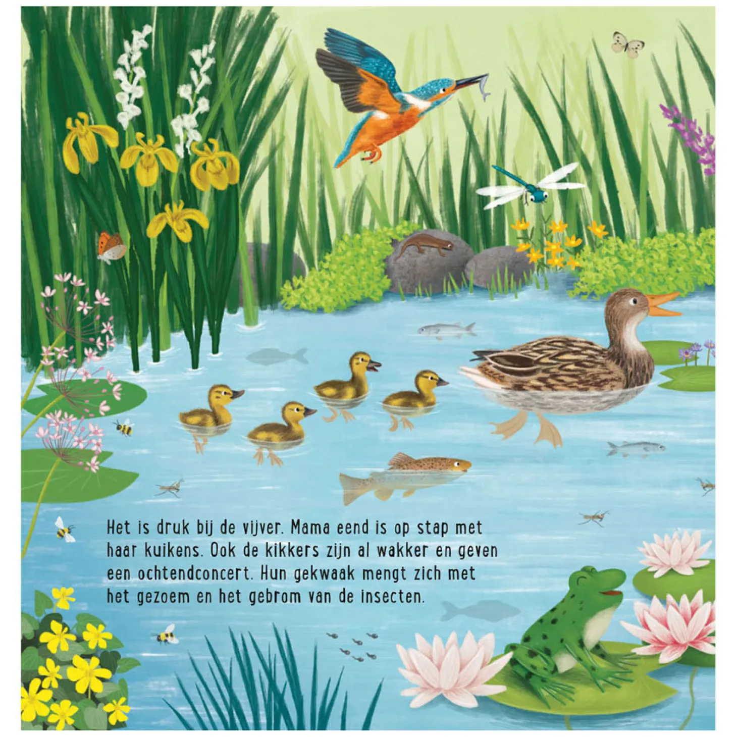 Mijn Eerste Zoekboek - Dieren Bij het Water