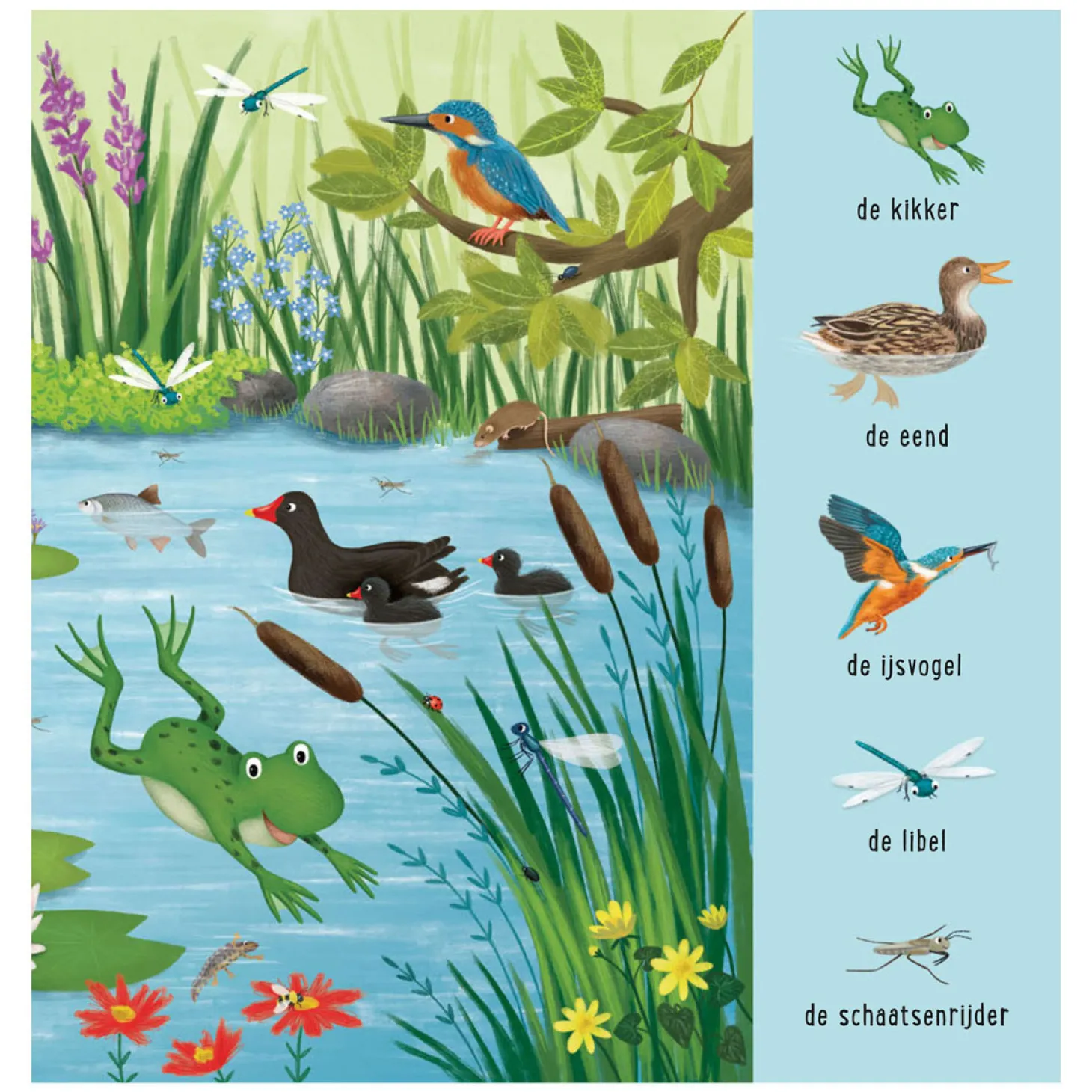 Mijn Eerste Zoekboek - Dieren Bij het Water
