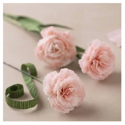 Mini Hobbyset Crepepapier Anjers