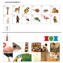 Mini Loco Starterspakket (4-6 jaar)