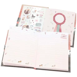 Miss Melody Dagboek met Stickers