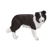 Mojo Farmland Border Collie - 387203