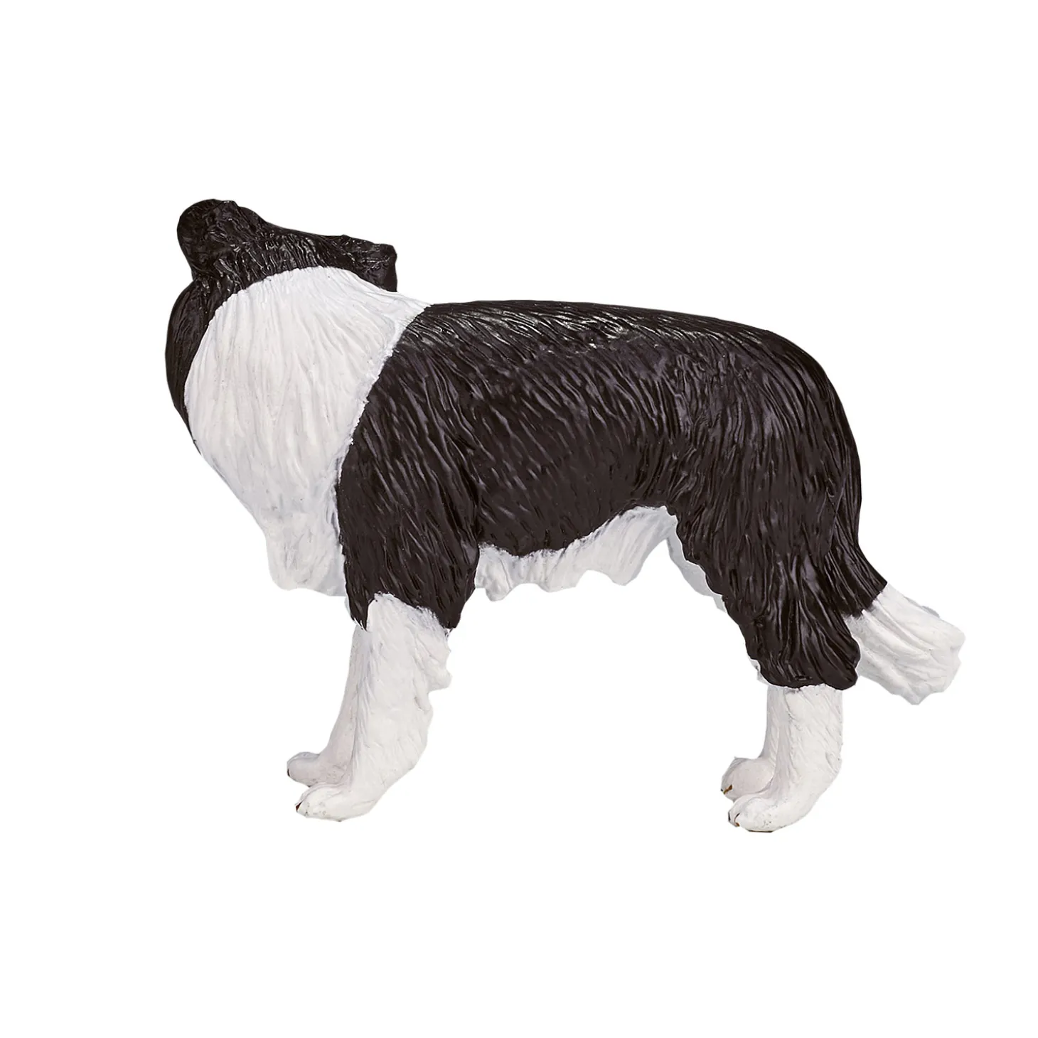 Mojo Farmland Border Collie - 387203