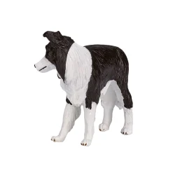 Mojo Farmland Border Collie - 387203