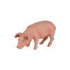 Mojo Farmland Etende Big - 387056