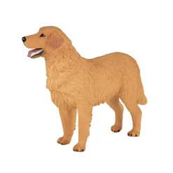 Mojo Farmland Golden Retriever - 387198
