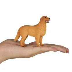 Mojo Farmland Golden Retriever - 387198