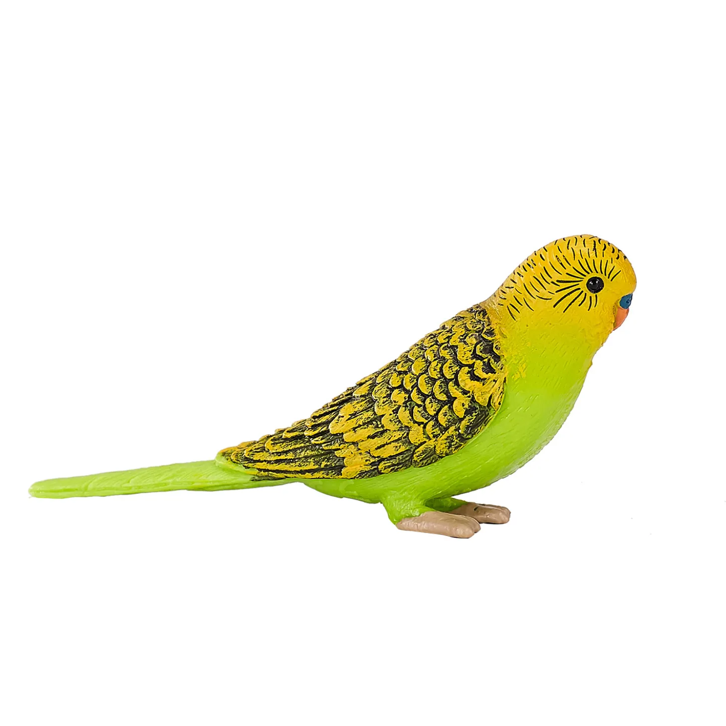 Mojo Farmland Grasparkiet Groen - 387262