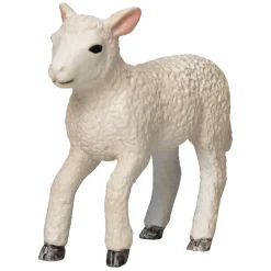 Mojo Farmland Romney Lam Rennend  - 381066