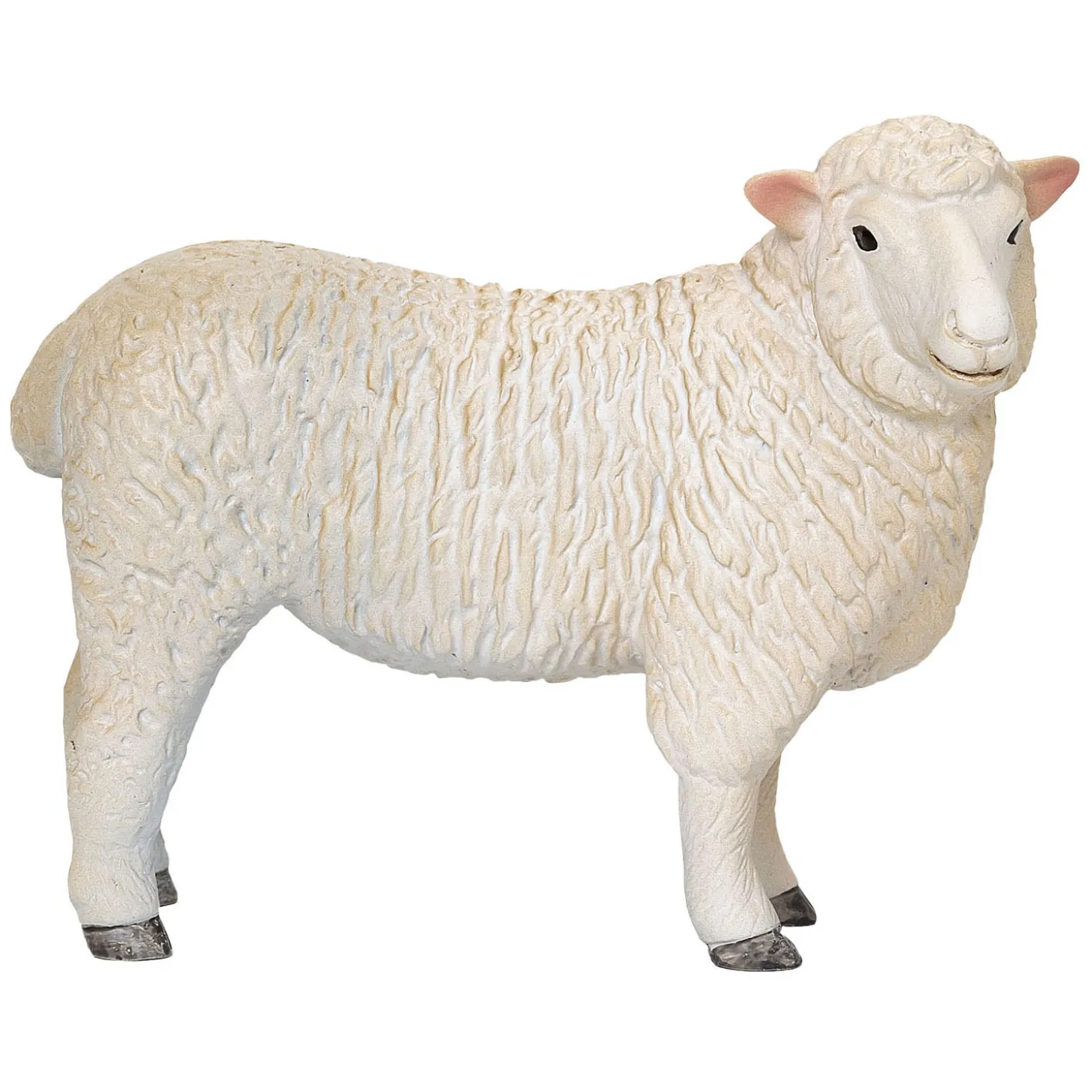 Mojo Farmland Romney Schaap Ooi - 381064