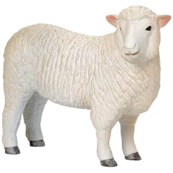 Mojo Farmland Romney Schaap Ooi - 381064