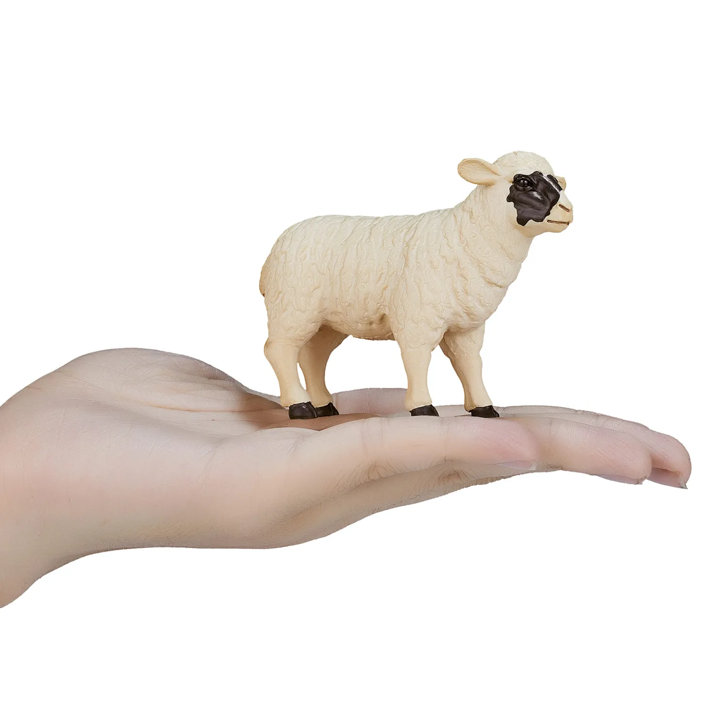 Mojo Farmland Zwartkopschaap Ooi - 387058