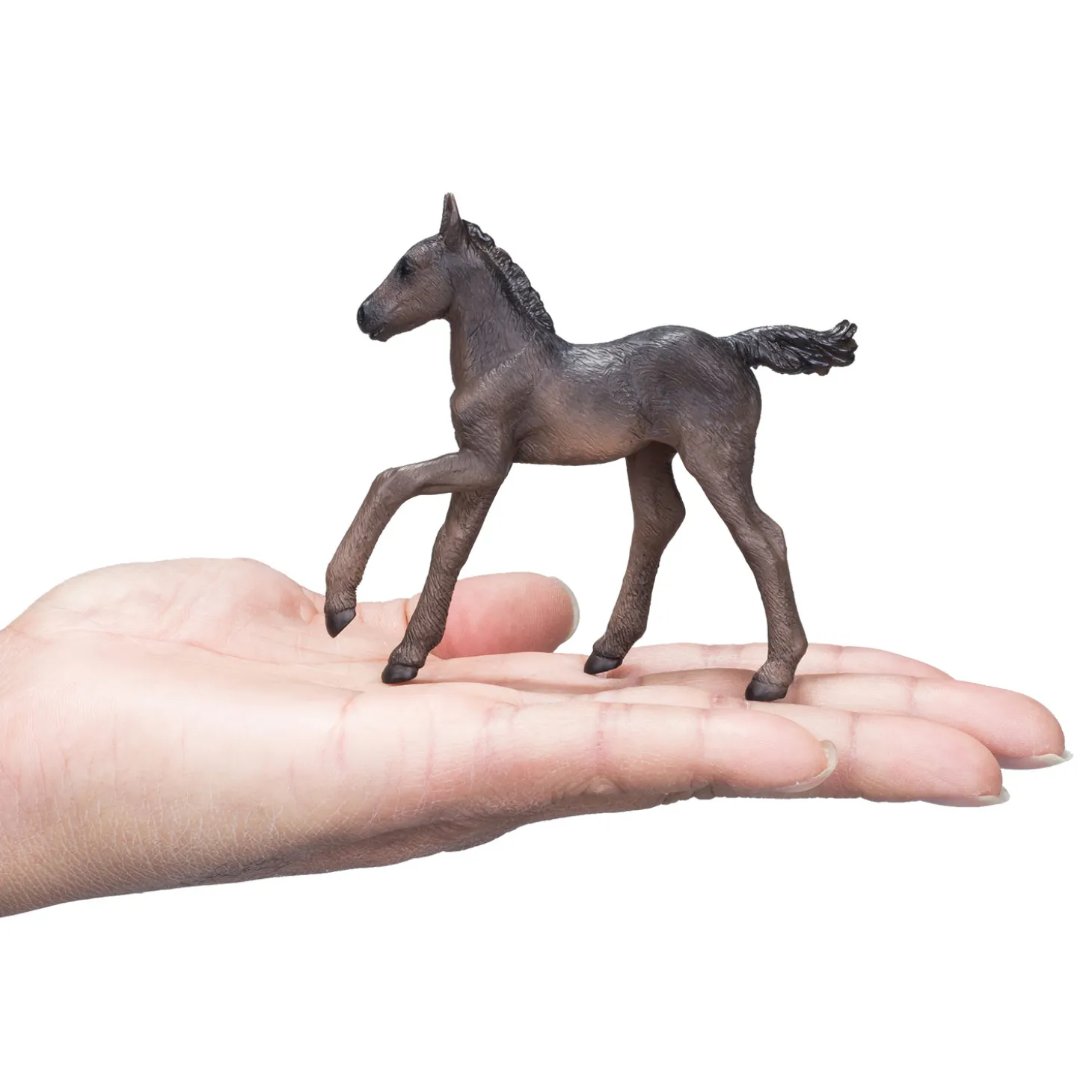 Mojo Horse World Arabisch Veulen Zwart - 381015