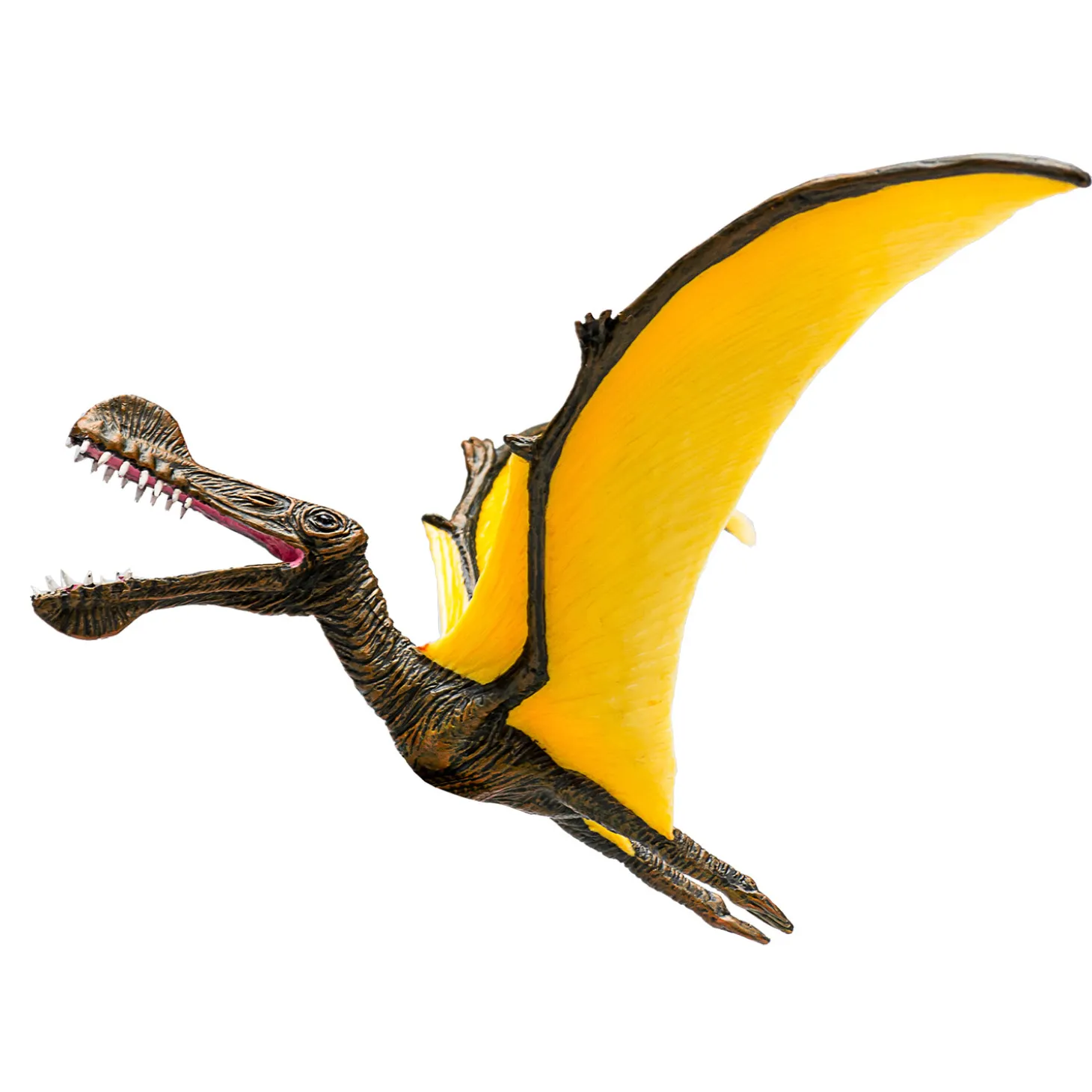 Mojo Prehistorie Tropeognathus - 387375