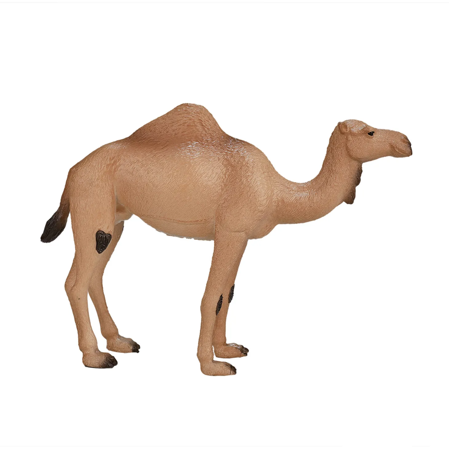 Mojo Wildlife Arabische Kameel - 387113
