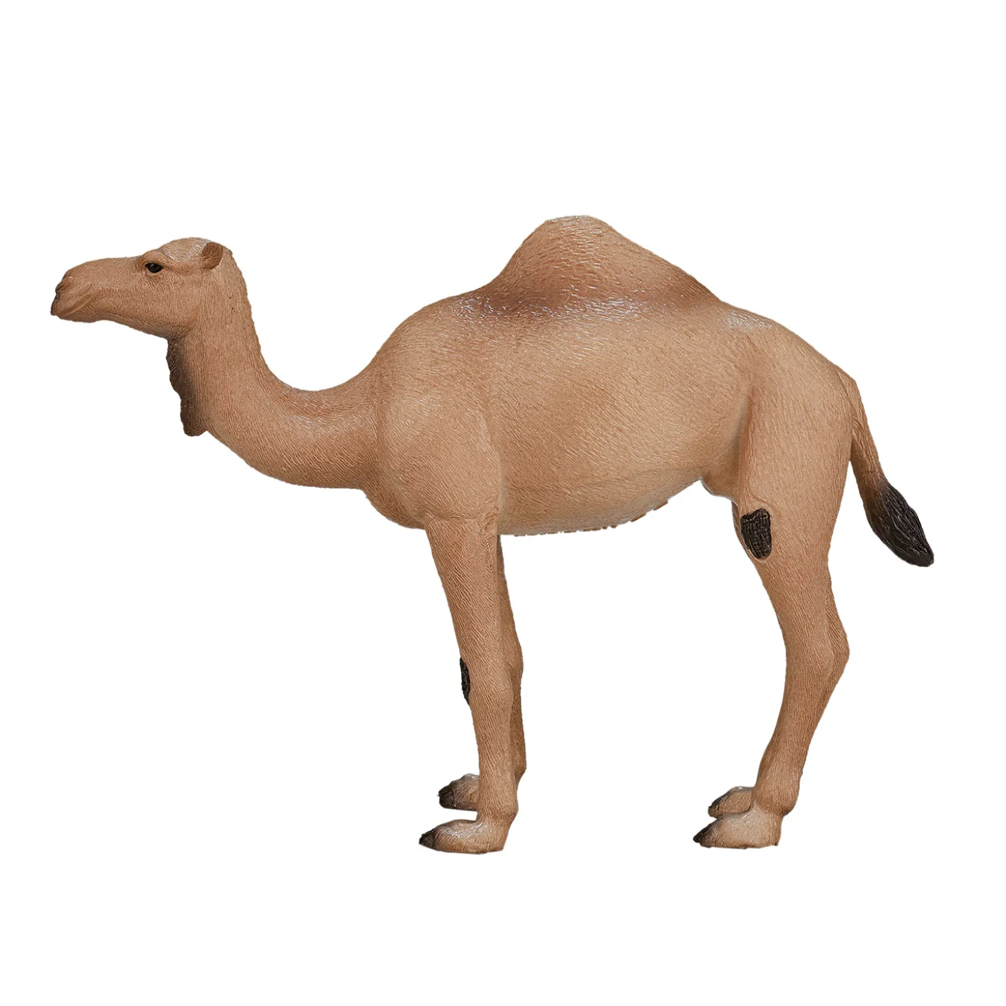 Mojo Wildlife Arabische Kameel - 387113