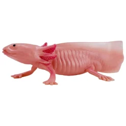 Mojo Wildlife Axolotl 381108