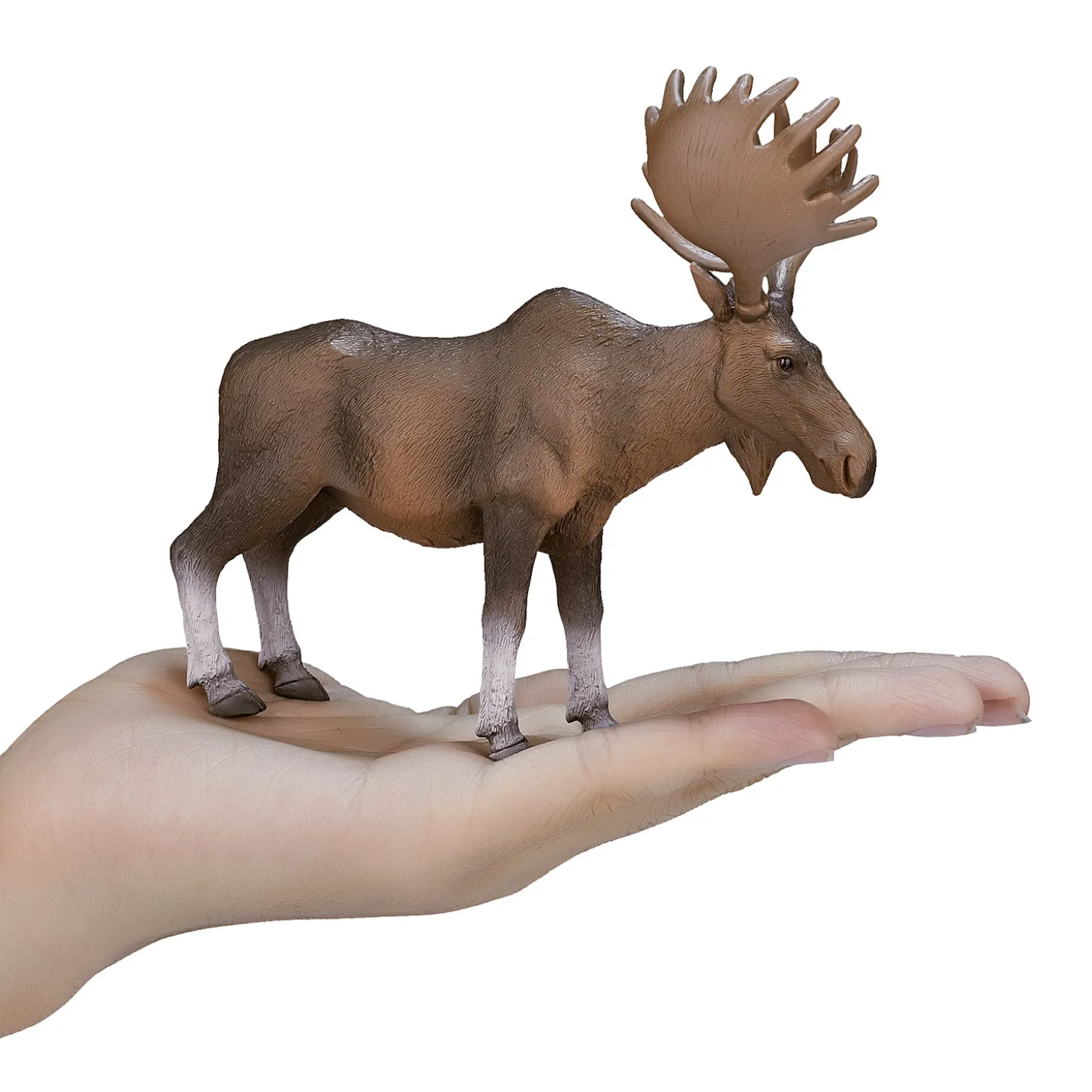 Mojo Wildlife Europese Eland - 387023