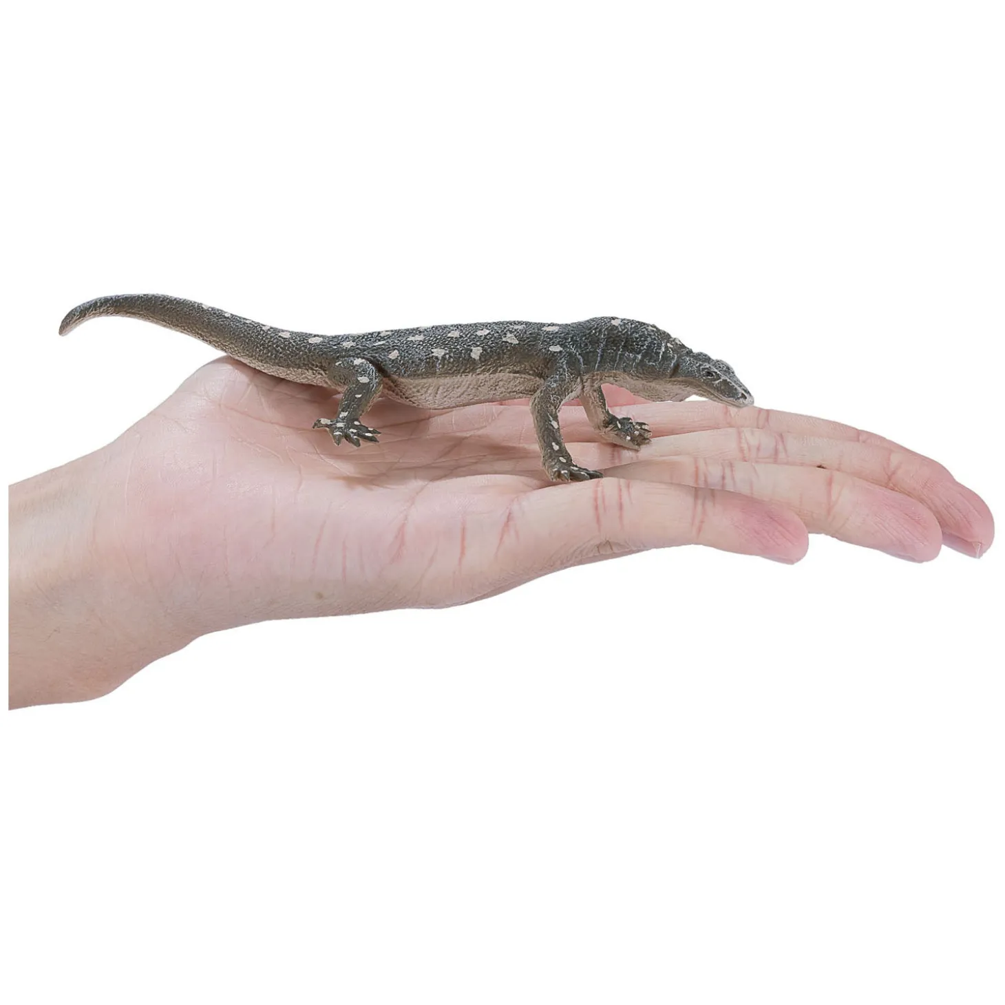 Mojo Wildlife Perentie Hagedis - 381061