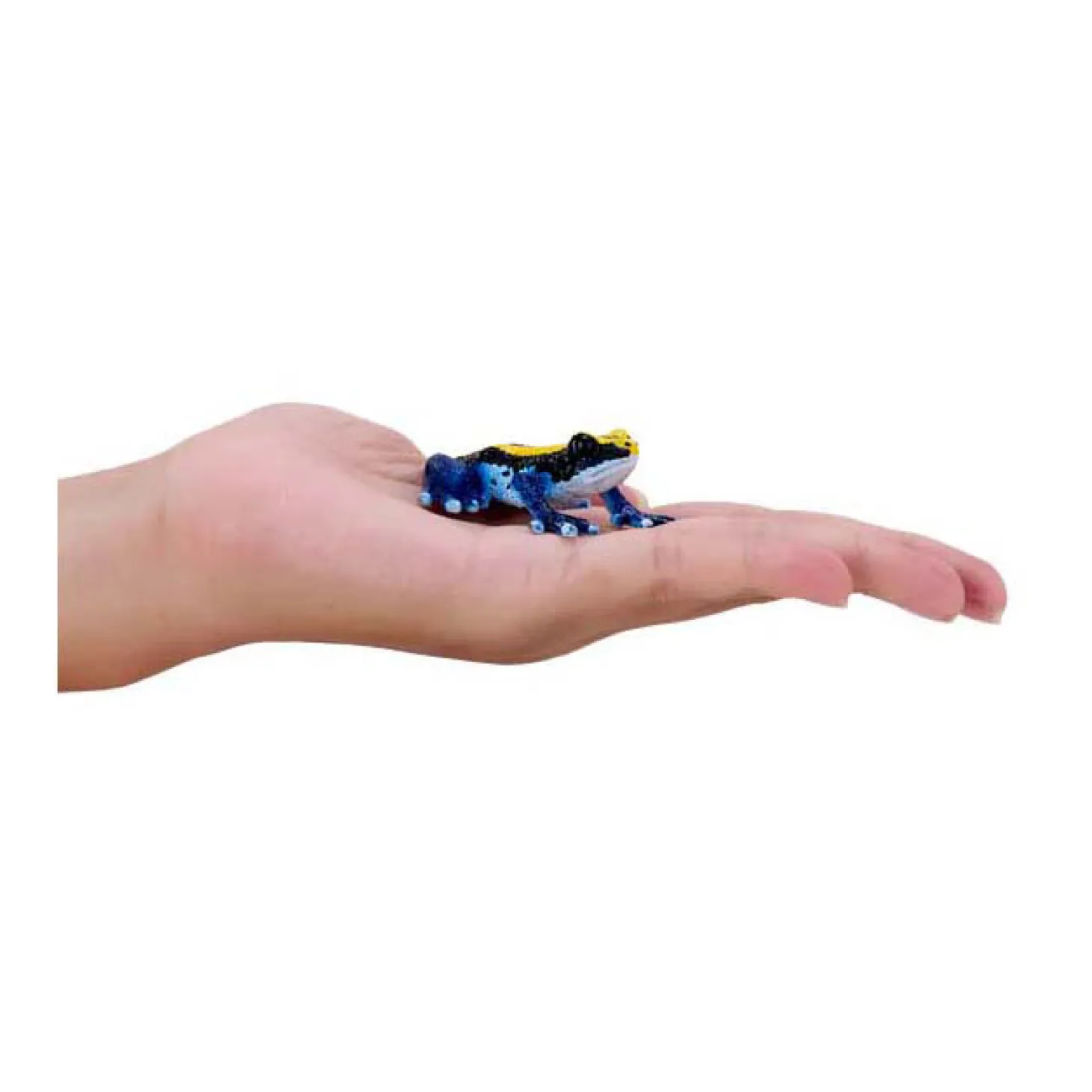 Mojo Wildlife Pijlgifkikker Blauw - 381069