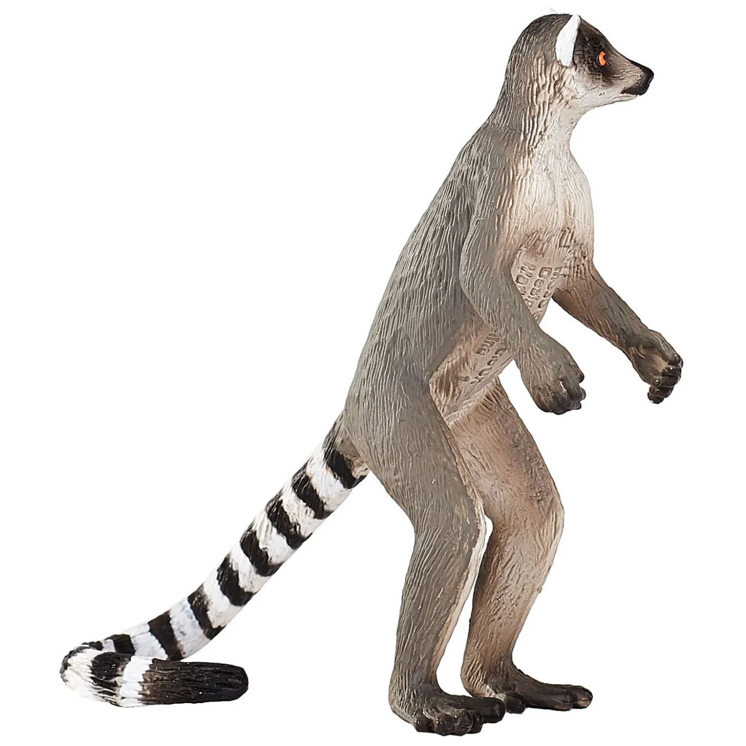 Mojo Wildlife Ringstaartmaki - 1285431