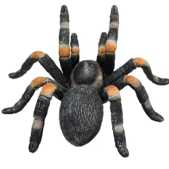 Mojo Wildlife Rode Tarantula - 387213
