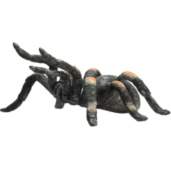 Mojo Wildlife Rode Tarantula - 387213