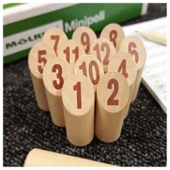 Molkky Mini Spel Werpspel