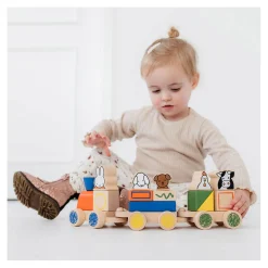 Nijntje Blokkentrein Hout