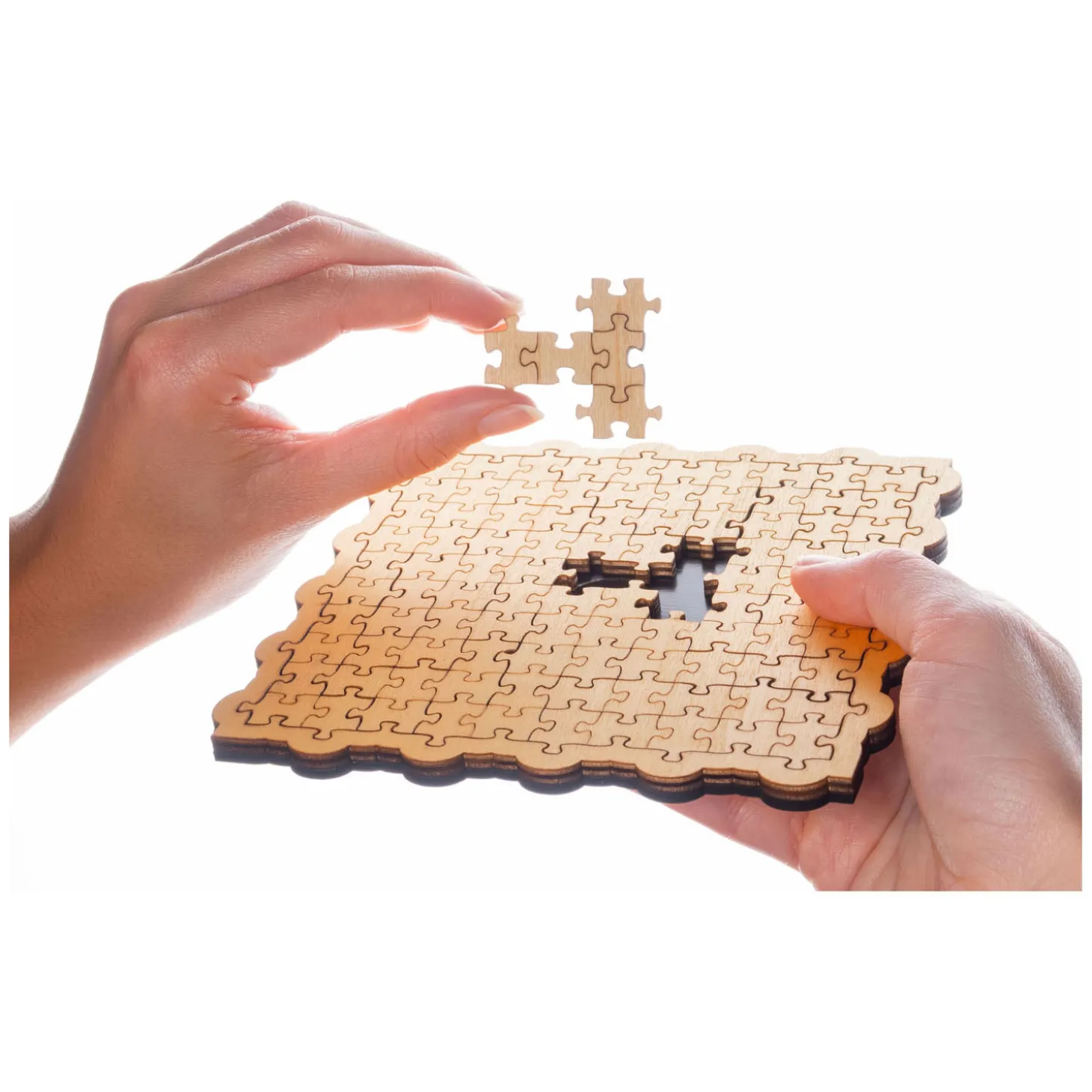 Not a Jigsaw Breinpuzzel