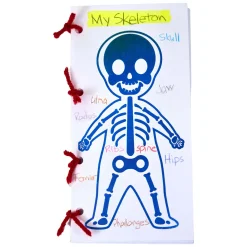 Ontdek en Kleur je Lichaam - 250st.