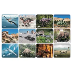 Ontdekkingskaarten Dino Afbeeldingen en X-Ray - 24st.