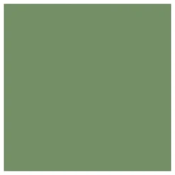 Outdoor Verf - Olijf, 250ml