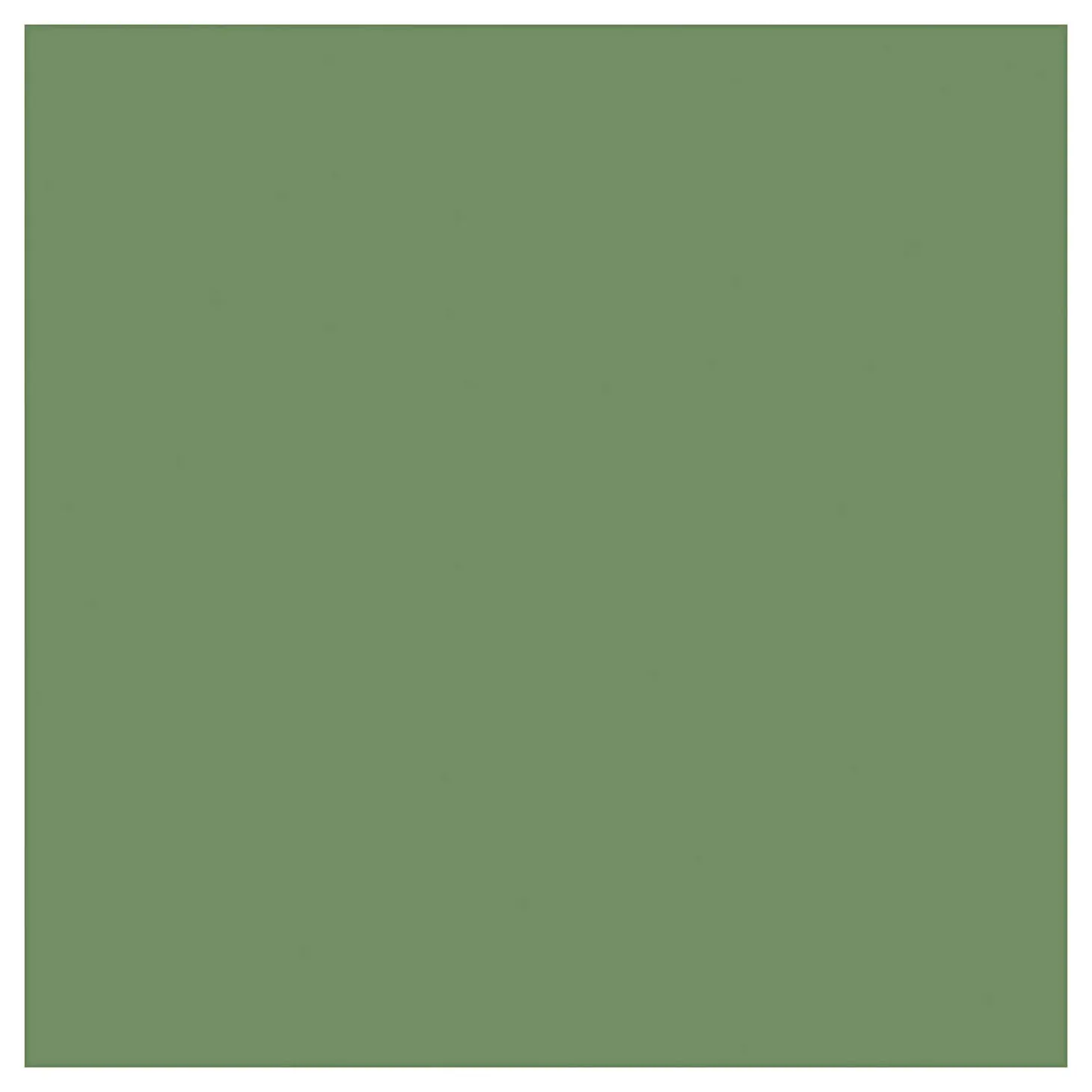 Outdoor Verf - Olijf, 250ml