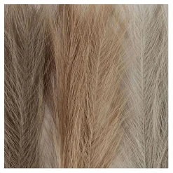 Pampasgras Beige/Bruin/Grijs, 3st.