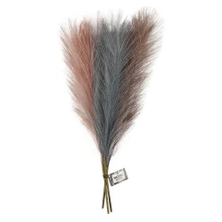 Pampasgras Blauw/Lila/Roze, 3st.