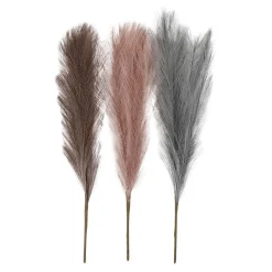 Pampasgras Blauw/Lila/Roze, 3st.