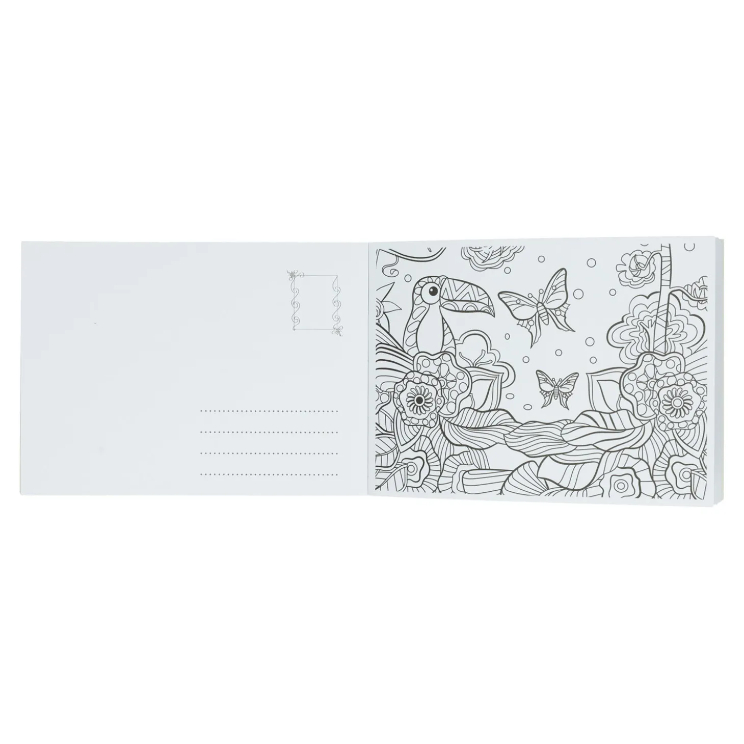 Postkaarten Kleuren, 20st