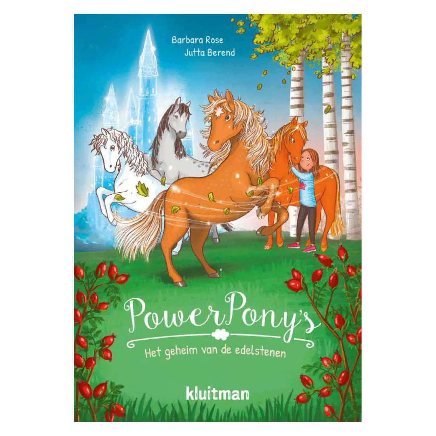 Power Pony's. Het geheim van de edelstenen