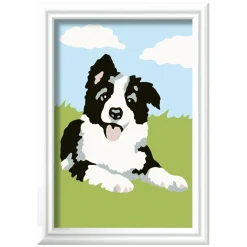 Ravensburger CreArt Schilderen op Nummer - Border Collie