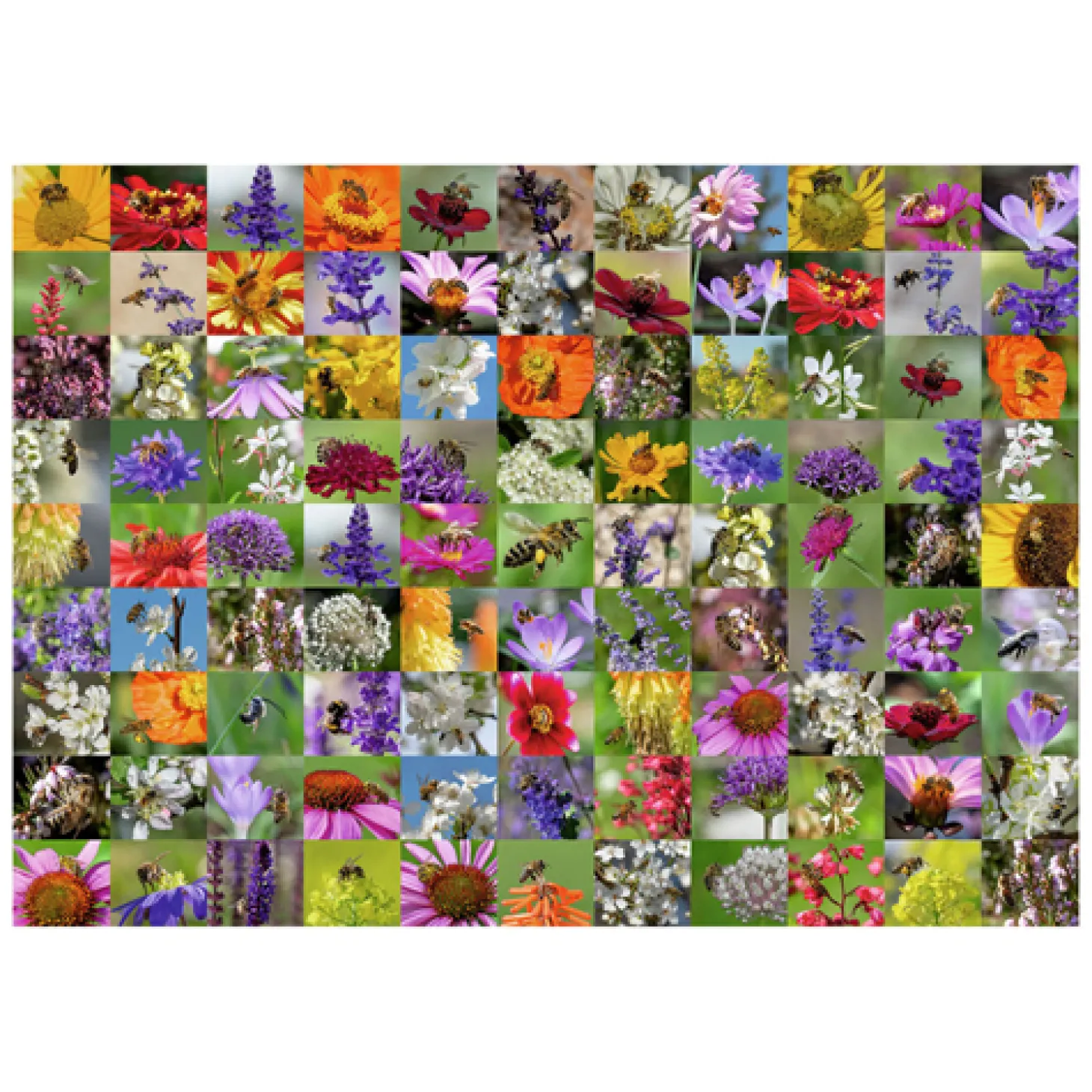 Ravensburger Legpuzzel 99 Bijen, 1000st.