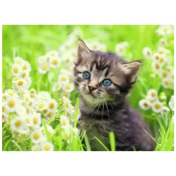 Ravensburger Legpuzzel Katje in de Wei, 500st.