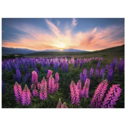 Ravensburger Legpuzzel Lupinen, 1000st.