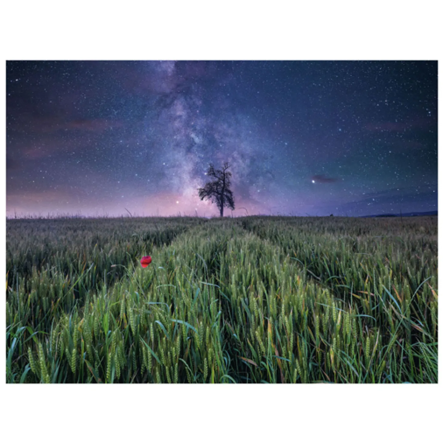 Ravensburger Legpuzzel Nachthim.Uber Dem Kornfeld, 1500st.